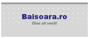 Baisoara logo