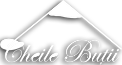 Cheile Butii logo