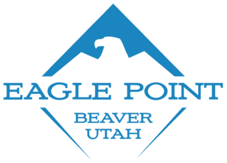 Eagle Point logo