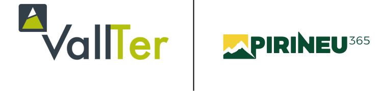Vallter 2000 logo