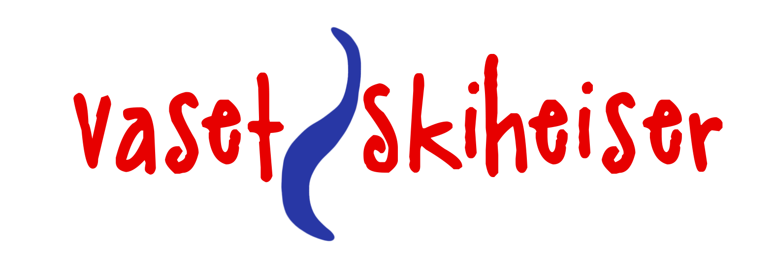 Vaset logo
